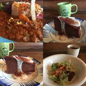 Salad appetizer, curry with rice, chocolate cake with tea. at Veggie Syokudo Funadeya in Fukuoka