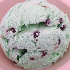 vegan choco mint ice cream at Las Delicias Fonda Vegana y Vegetariana  in Cancun