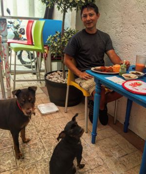 we are pet friendly at Las Delicias Fonda Vegana y Vegetariana  in Cancun