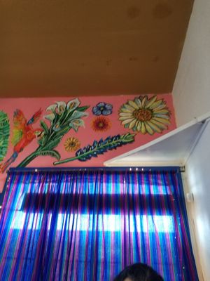 Inside at Viva Vegeria in San Antonio