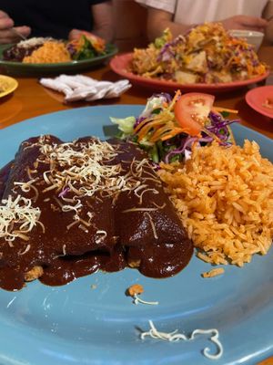 Enchiladas with mole sauce  at Viva Vegeria in San Antonio