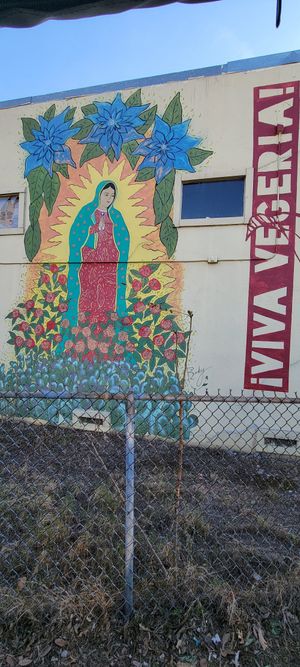 #Veganuary at Viva Vegeria in San Antonio