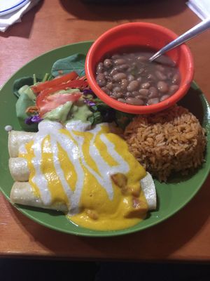 Enchiladas Dr calabacita at Viva Vegeria in San Antonio