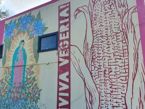  at Viva Vegeria in San Antonio