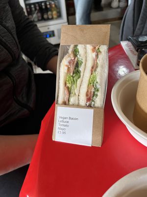 Sarnie   at Willows Animal Sanctuary Gift Shop in New Pitsligo