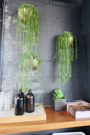 Interior  at Blendlove in Southport