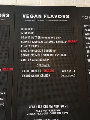 The vegan flavors. Also have vegan sauces at Van Leeuwen Ice Cream - Boerum Hill in Brooklyn