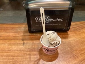 Vegan mint chocolate chip at Van Leeuwen Ice Cream - East Village in New York City