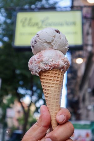  at Van Leeuwen Ice Cream - East Village in New York City
