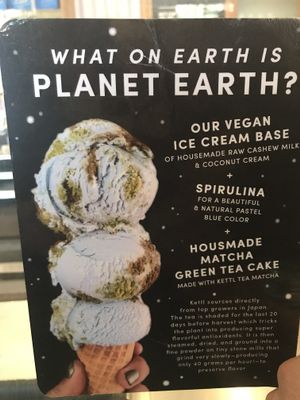Planet earth ice cream at Van Leeuwen Ice Cream - East Village in New York City