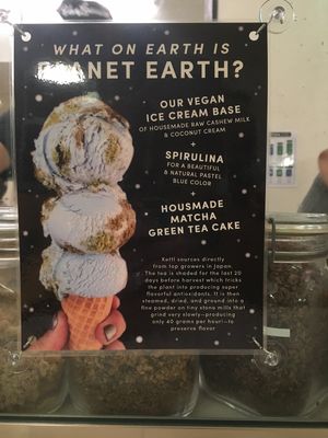 Ice cream to save the planet! at Van Leeuwen Ice Cream - Williamsburg in Brooklyn
