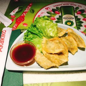 vegtable gyoza at Akakiko in Vienna