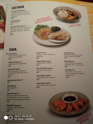 vegan menu at Akakiko in Vienna