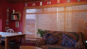 chilling out  at The Wallflower Cafe in Herne Bay