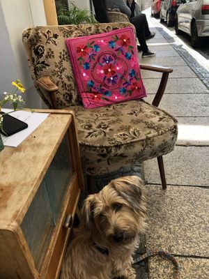 Outside with the pup at Cafe Herzstück in Goerlitz