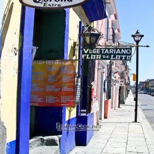  at Restaurant Flor de Loto in Oaxaca