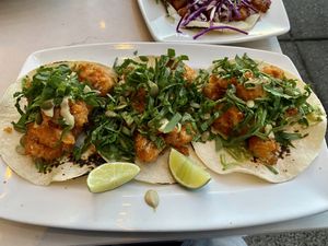 Cauliflower tacos  at The Coronado PHX in Phoenix