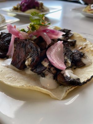  at The Coronado PHX in Phoenix