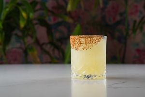  at The Coronado PHX in Phoenix