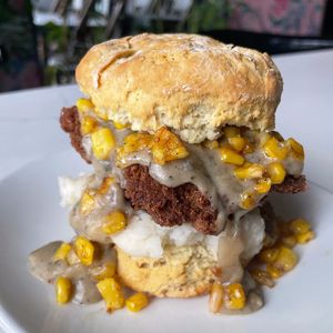  at The Coronado PHX in Phoenix