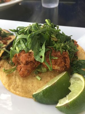 Cauliflower tacos at The Coronado PHX in Phoenix