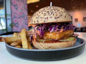  at The Coronado PHX in Phoenix