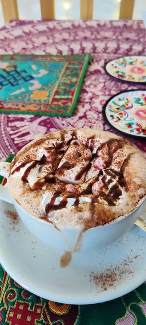  at Cafe Shanti in Lincoln