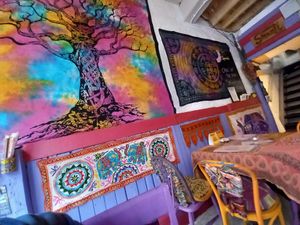 Lovely zen atmosphere ✨️ at Cafe Shanti in Lincoln