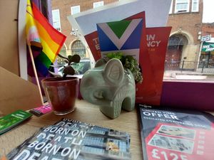 Elephants everywhere 🐘 🐘 🐘 💚 at Cafe Shanti in Lincoln