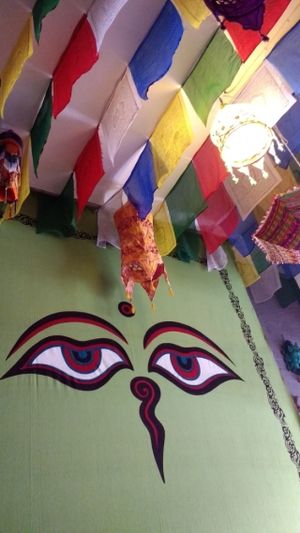 Being watched. at Cafe Shanti in Lincoln