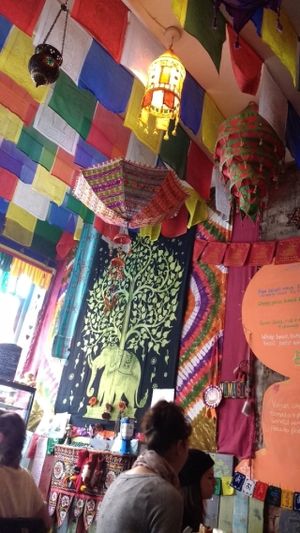 Shanti at Cafe Shanti in Lincoln