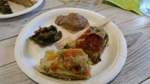 Two types of lasagne, tortelloni, seitan at Sapori Vegani in Florence