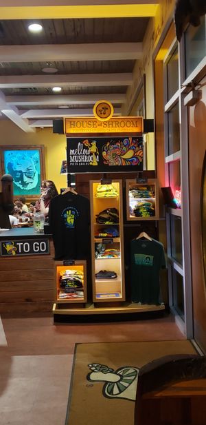  at Mellow Mushroom in St Augustine