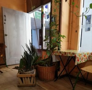  at Somos Lo Que Comemos in Tenerife