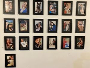 Animals with their Human Pets  at Dona Augusta in Sao Paulo