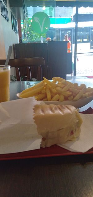 Hot dog, porção (generosa) de batata frita e suco de laranja at Dona Augusta in Sao Paulo