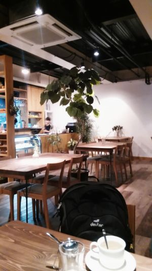 Interior at Veg Out in Kyoto