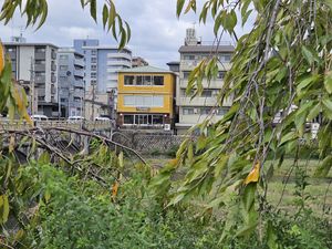 Cafe is on the ground floor. Level 1. Toilets are on level 2. at Veg Out in Kyoto