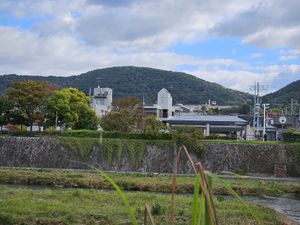 Lovely views. at Veg Out in Kyoto