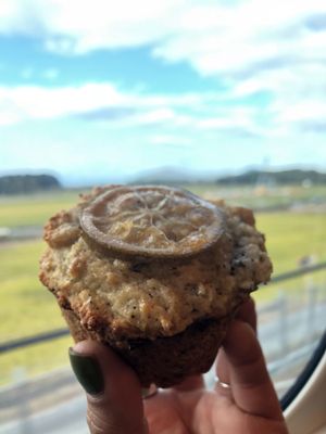 I got an earl grey muffin for the train ride back to Tokyo  at Veg Out in Kyoto