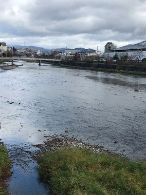 Beautiful view:) at Veg Out in Kyoto