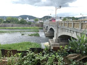 View from the window bar at Veg Out in Kyoto