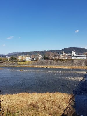 The view while having lunch at Veg Out in Kyoto