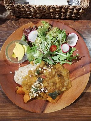 Dinner tomato coconut curry at Veg Out in Kyoto