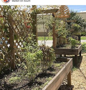 Outside of the market  at Valhalla Bakery in Orlando