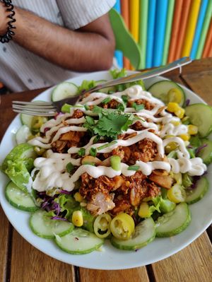 Bbq jackfruit taco bowl at VegetaBowl in Koh Tao