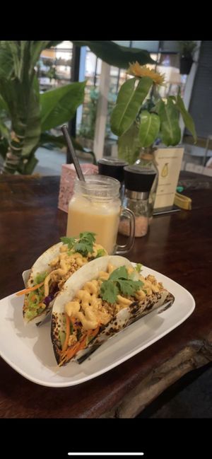 Tofu taco with vegan mayo and tropical tango shake  at VegetaBowl in Koh Tao