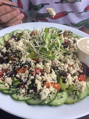 Wellness bowl at VegetaBowl in Koh Tao