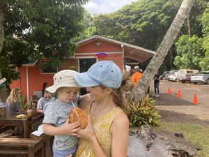 Delicious cold coconuts  at Kalalea Juice Hale in Anahola