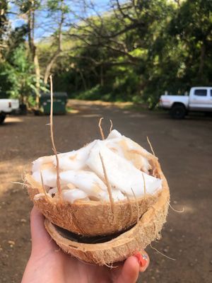 cracked open after drinking the juice  at Kalalea Juice Hale in Anahola